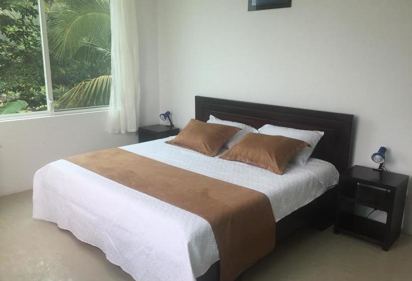 Hotel Blue Shark Galapagos | Puerto Ayora | Galápagos | Ecuador 5