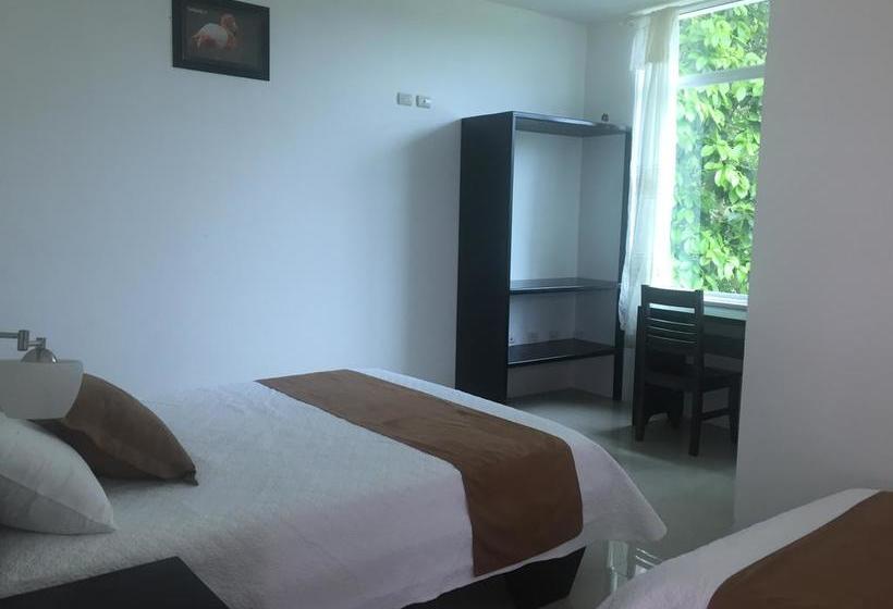 Hotel Blue Shark Galapagos | Puerto Ayora | Galápagos | Ecuador 9