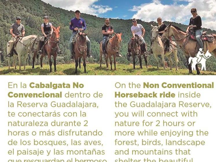 Bed and Breakfast Reserva Guadalajara | Salento | Quindío | Colombia 1