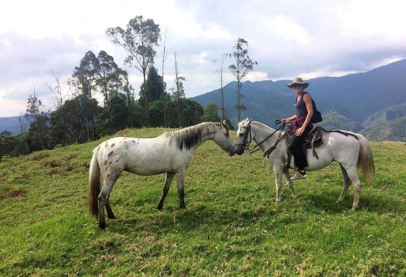 Bed and Breakfast Reserva Guadalajara | Salento | Quindío | Colombia 19