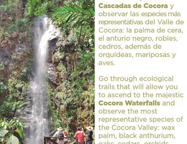 Bed and Breakfast Reserva Guadalajara | Salento | Quindío | Colombia 2