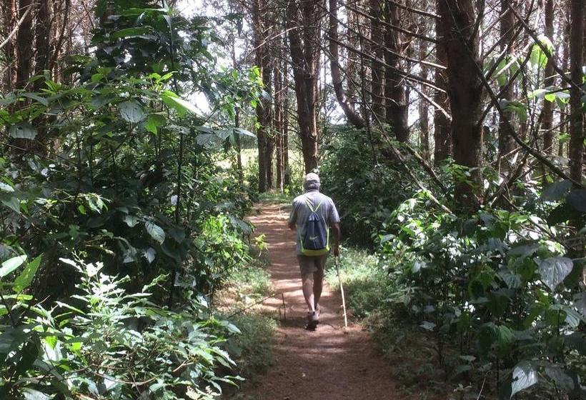Bed and Breakfast Reserva Guadalajara | Salento | Quindío | Colombia 4