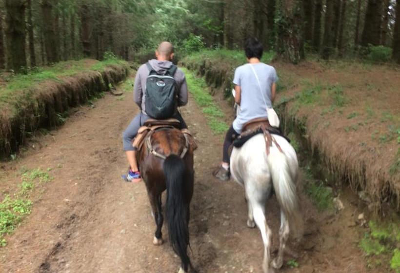 Bed and Breakfast Reserva Guadalajara | Salento | Quindío | Colombia 6