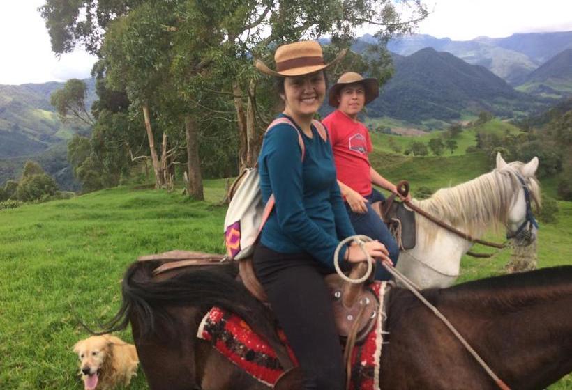 Bed and Breakfast Reserva Guadalajara | Salento | Quindío | Colombia 8