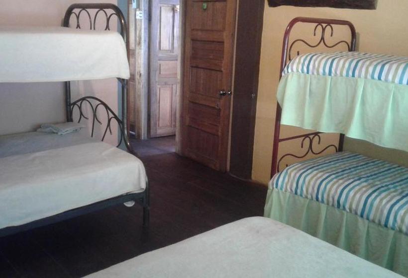 Albergue Hostal Melyang | Mindo | Pichincha | Ecuador 15