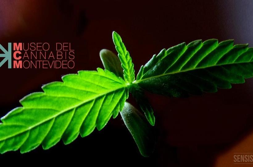 Hostel Casa Rosa | Montevideo | Montevideo | Uruguay 11