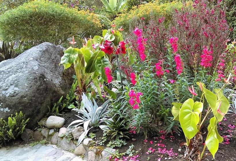 Hotel Termales Tierra Viva | Manizales | Caldas | Colombia 12