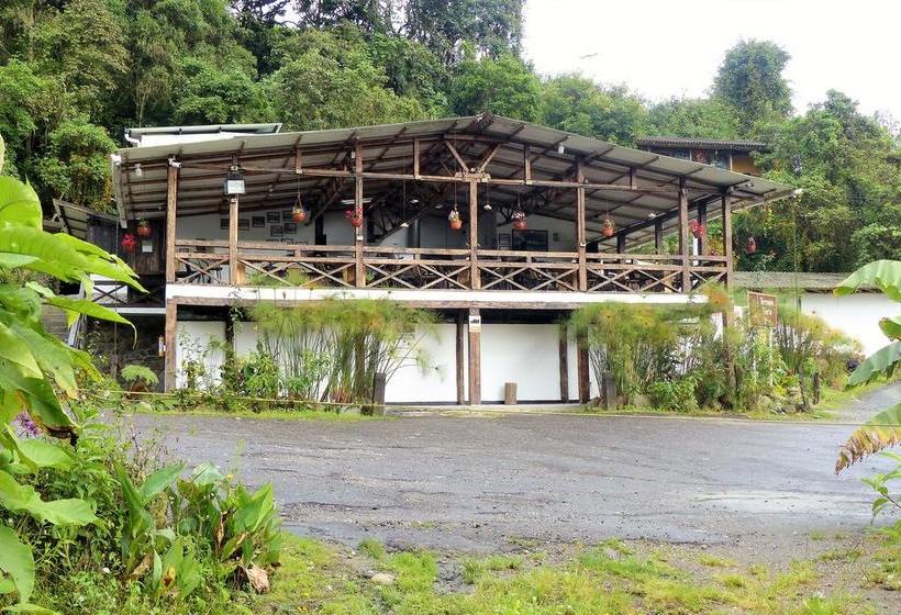 Hotel Termales Tierra Viva | Manizales | Caldas | Colombia 13