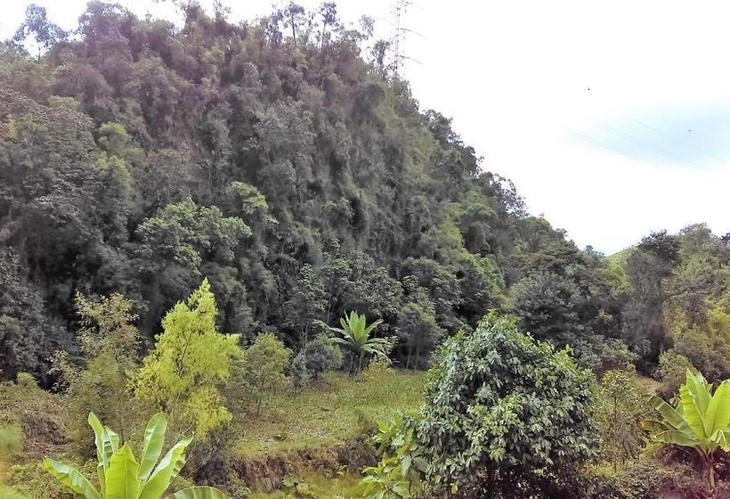 Hotel Termales Tierra Viva | Manizales | Caldas | Colombia 16