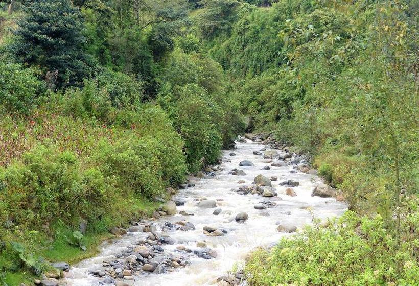 Hotel Termales Tierra Viva | Manizales | Caldas | Colombia 17