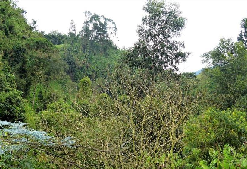 Hotel Termales Tierra Viva | Manizales | Caldas | Colombia 18