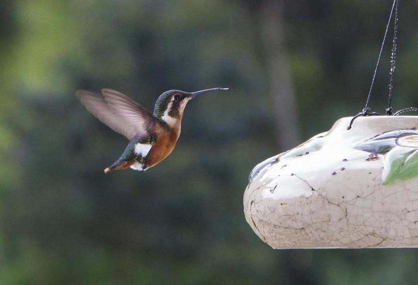 Hotel Termales Tierra Viva | Manizales | Caldas | Colombia 19