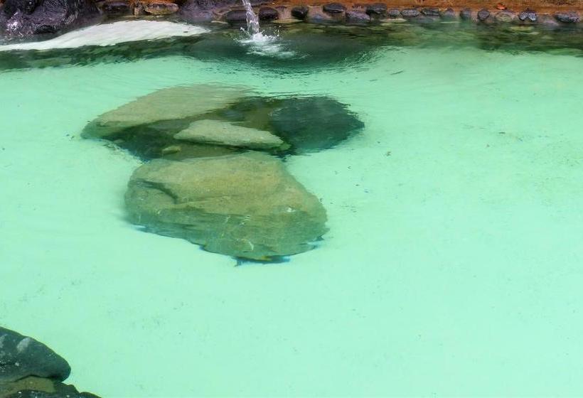 Hotel Termales Tierra Viva | Manizales | Caldas | Colombia 6