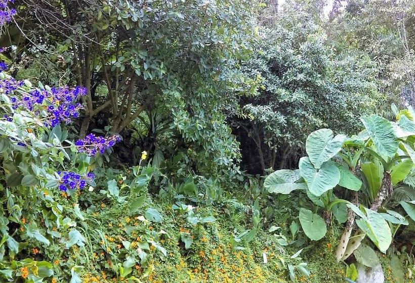 Hotel Termales Tierra Viva | Manizales | Caldas | Colombia 7