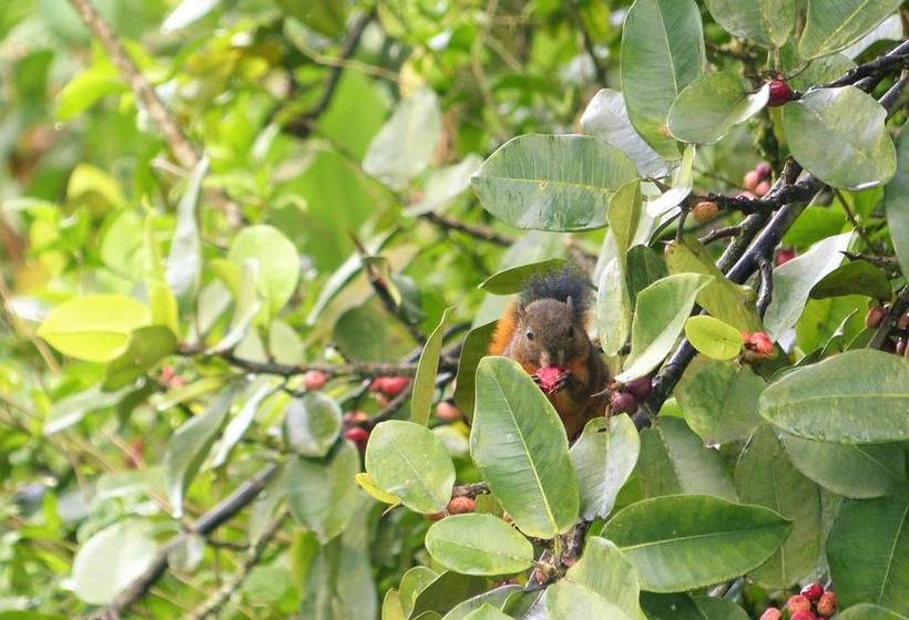 Hotel Termales Tierra Viva | Manizales | Caldas | Colombia 8