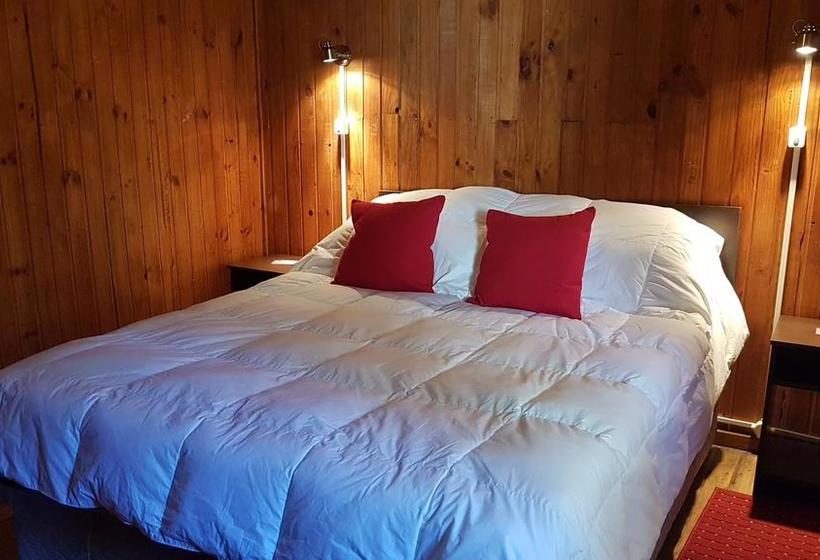 Bed and Breakfast El Alamo | San Alfonso | Santiago | Chile 18