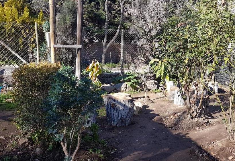 Bed and Breakfast El Alamo | San Alfonso | Santiago | Chile 5