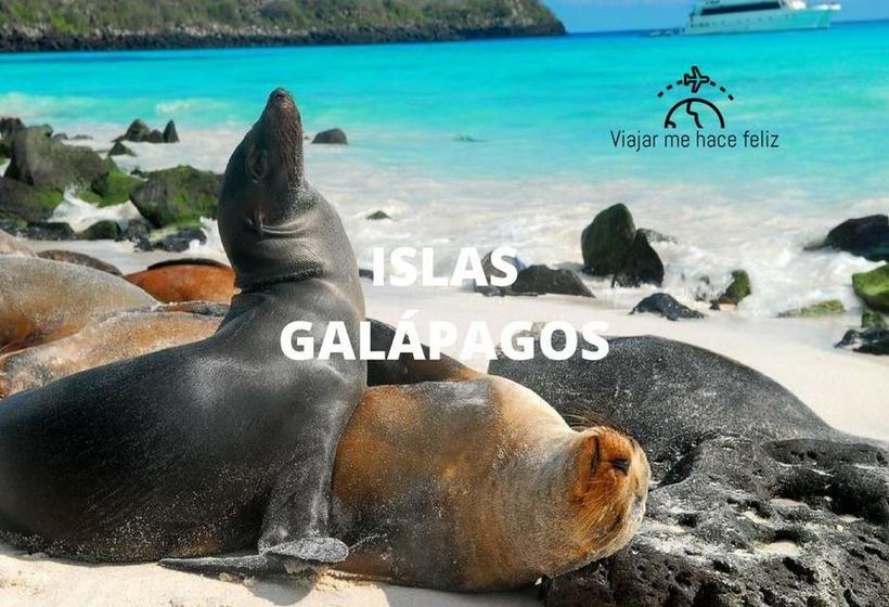 Bed and Breakfast Jardin Del Bosque | Quito | Pichincha | Ecuador 17