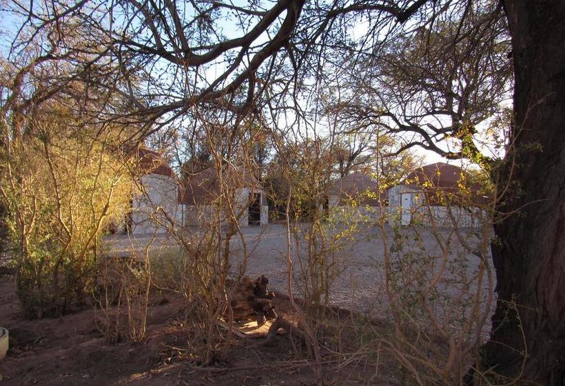 Hotel Cielo Ancestral | San Pedro de Atacama | Antofagasta | Chile 9