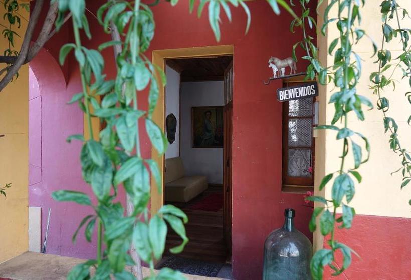 Albergue Hostal Los Castaños | San Alfonso | Santiago | Chile 13