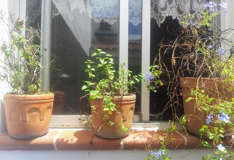 Bed and Breakfast El Rosal | Cucuta | Norte de Santander | Colombia 1