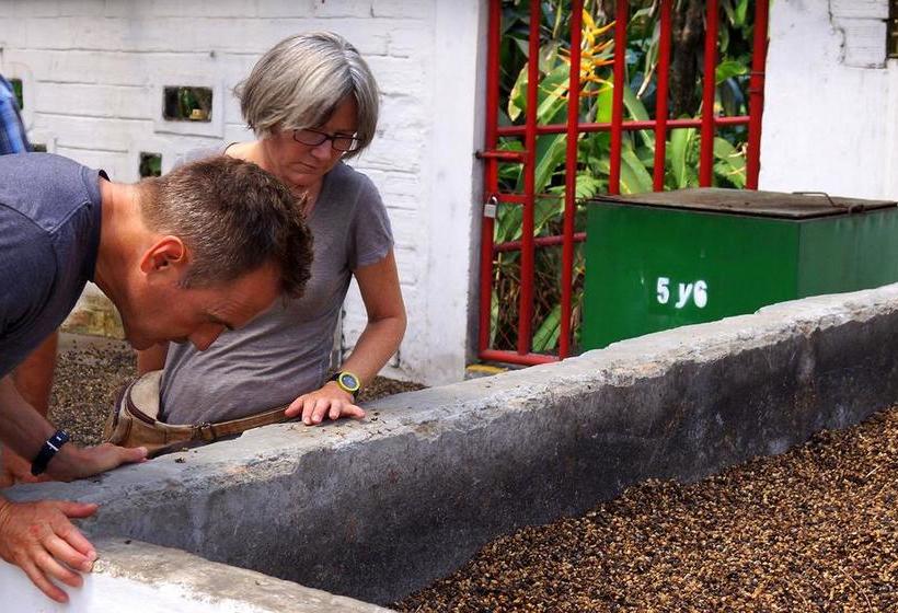 Hacienda Venecia Hostel | Manizales | Caldas | Colombia 10