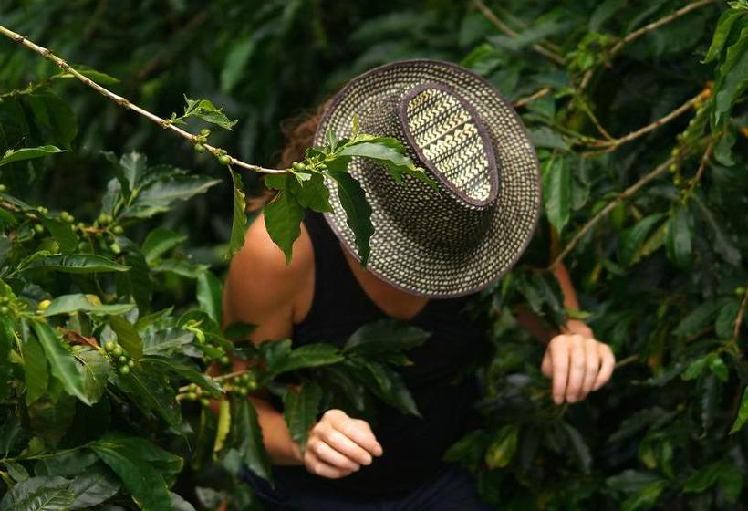 Hacienda Venecia Hostel | Manizales | Caldas | Colombia 7