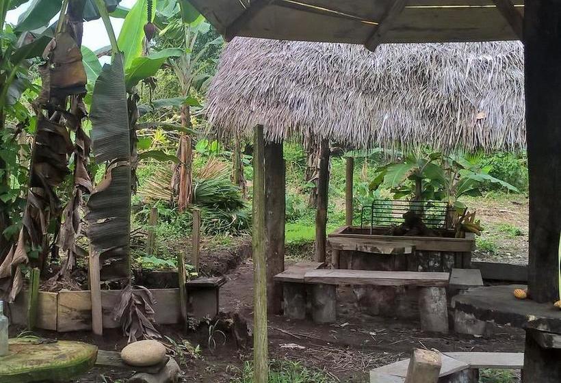 Albergue Hostal Tena | Tena | Napo | Ecuador 15