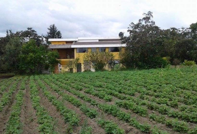Bed and Breakfast Chapelet Hostal | Tababela | Pichincha | Ecuador 7