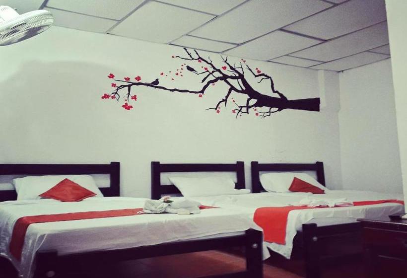 Auberge Hôtelière Hostal Casa Bella | Mompos | Bolivar | Colombie 2