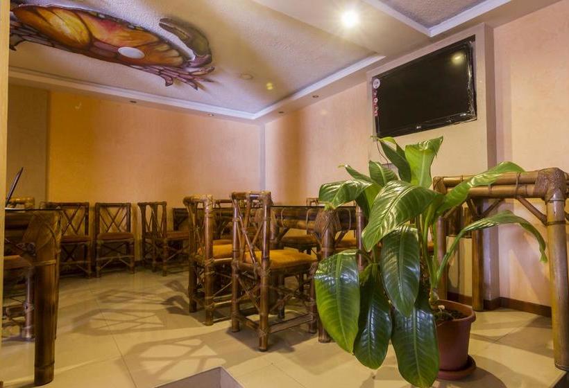 Hotel Hostal Puyo | Puyo | Pastaza | Ecuador 19