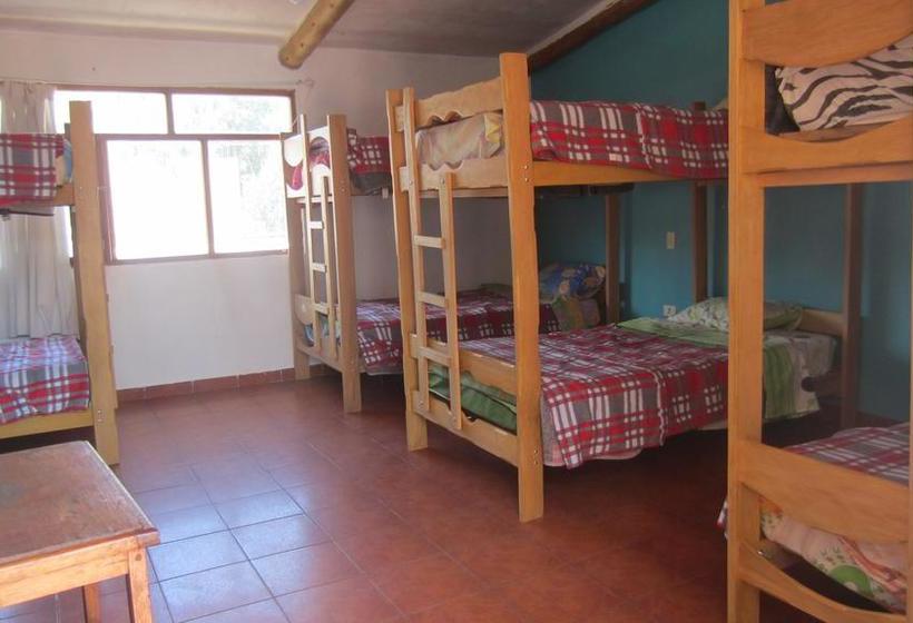 Albergue Vacahouse 2 Backpacker | Huaraz | Huaraz | Perú 11