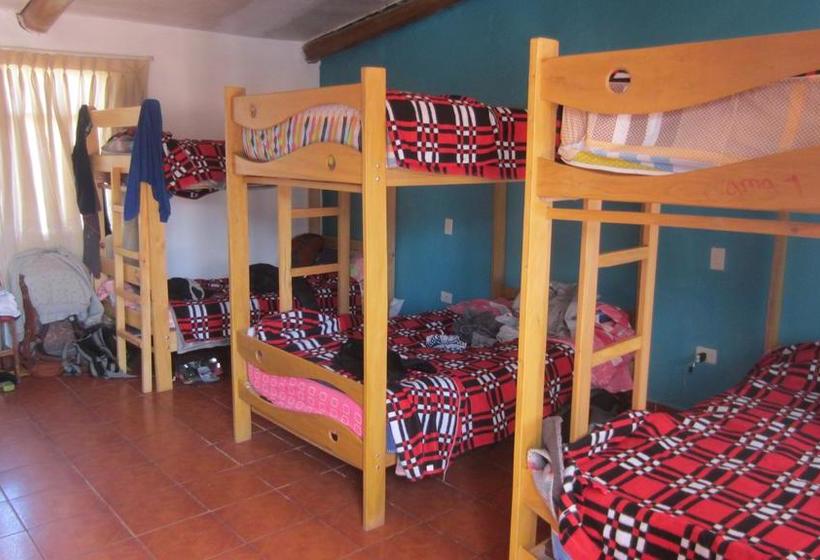 Albergue Vacahouse 2 Backpacker | Huaraz | Huaraz | Perú 3