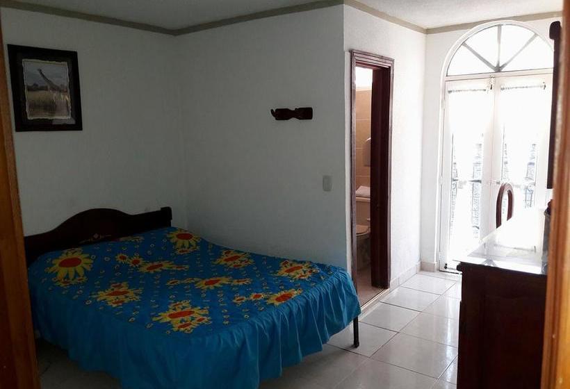 Hotel Del Parque Davinchi | Calarcá | Quindío | Colombia 10