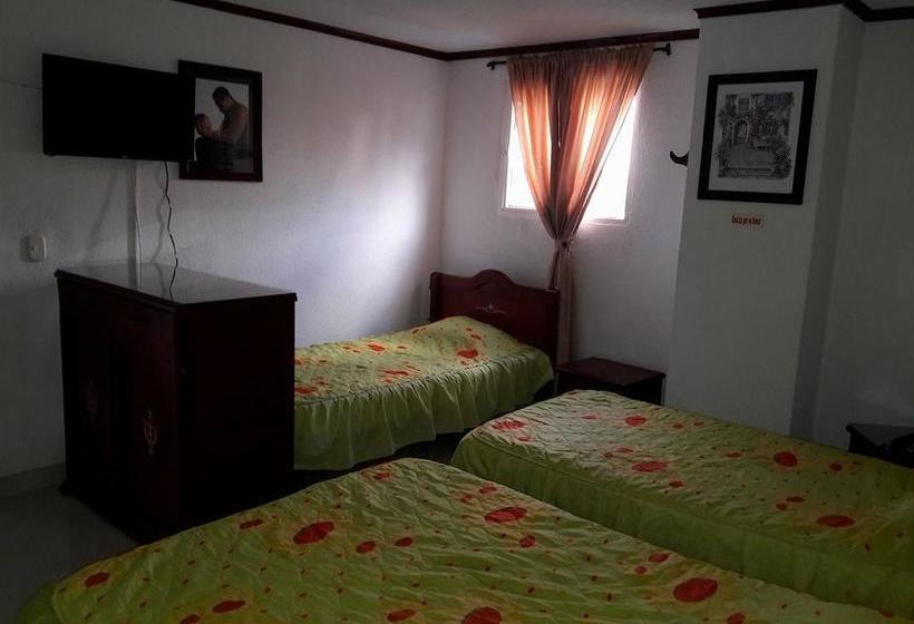 Hotel Del Parque Davinchi | Calarcá | Quindío | Colombia 6