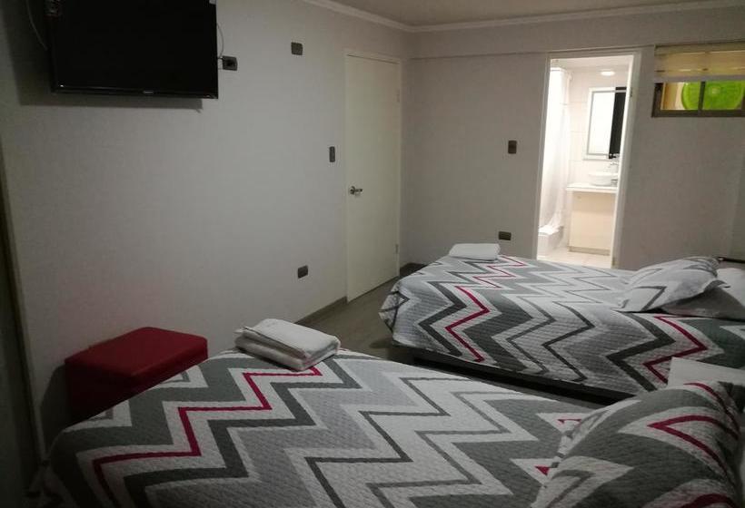 Hotel Paola Maipu | Antofagasta | Antofagasta | Chile 7