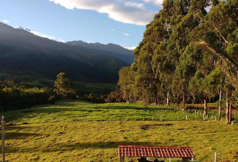 Hotel Boutique Palmas De Salento | Salento | Quindío | Colombia 13