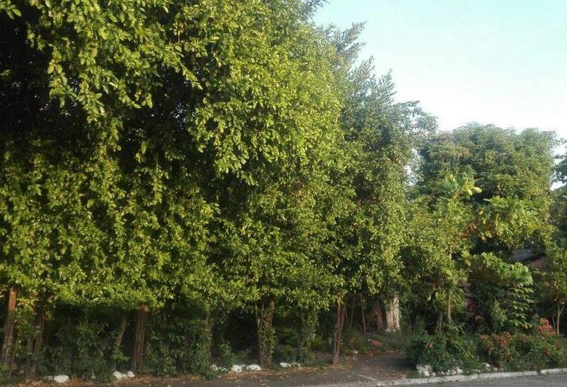 Hostel Backpacagers And Travelers | Neiva | Huila | Colombia 9