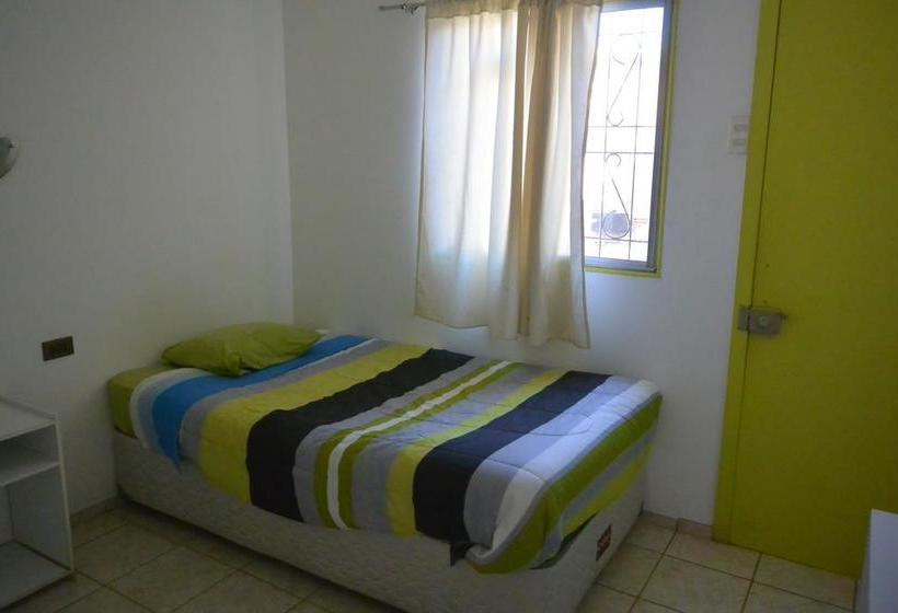 Hotel Britannia And Garden | Copiapó | Atacama | Chile 3