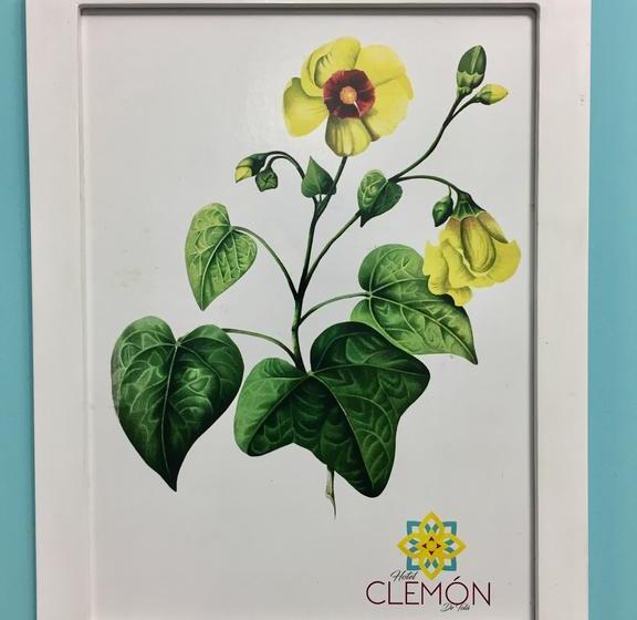 Hotel Clemon De Tolú | Santiago de Tolu | Sucre | Kolumbien 17