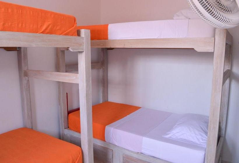 Albergue Center City | Cartagena de Indias | Bolivar | Colombia 1