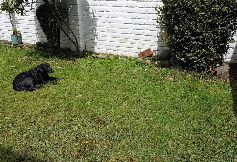 Bed And Breakfast Mi Paraiso | Cuenca | Azuay | Ecuador 2