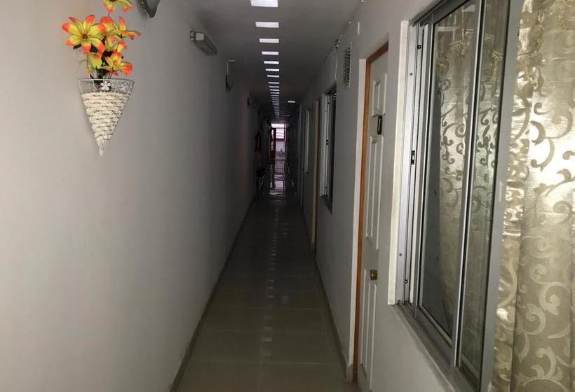 Hotel Simon | Antofagasta | Antofagasta | Chile 11