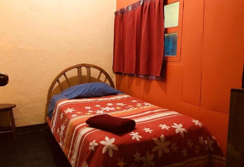 Albergue The Secret Garden | Quito | Pichincha | Ecuador 8