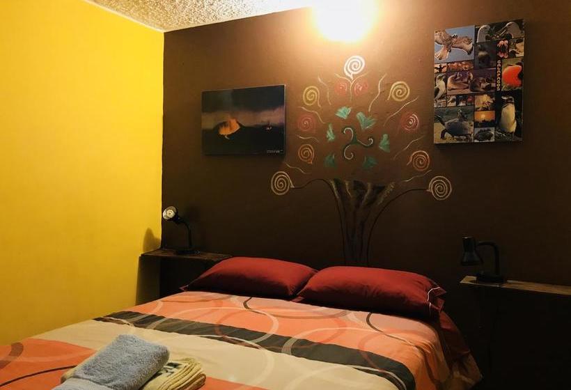 Albergue The Secret Garden | Quito | Pichincha | Ecuador 9