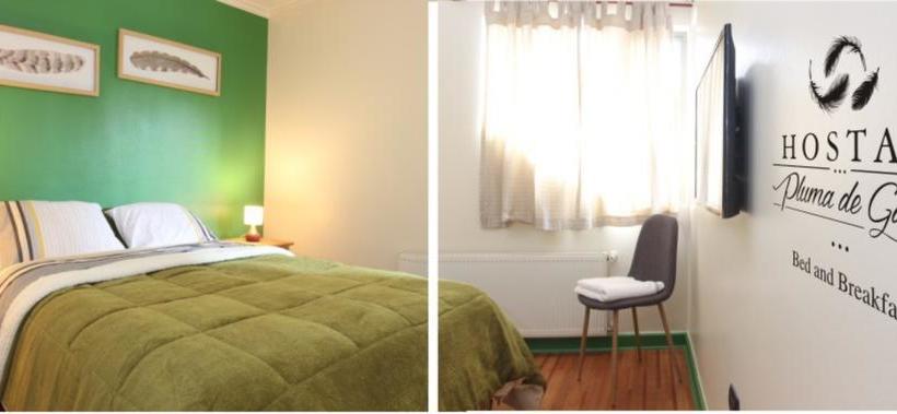 Bed and Breakfast Hostal Pluma De Ganso