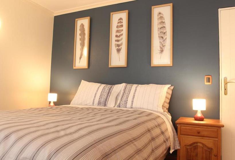 Bed and Breakfast Hostal Pluma De Ganso | Temuco | Araucanía | Chile 11