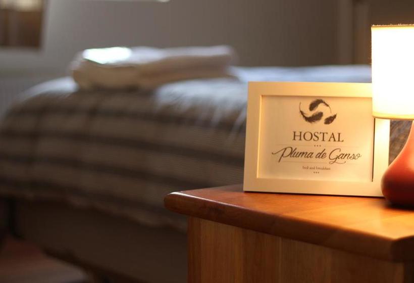 Bed and Breakfast Hostal Pluma De Ganso | Temuco | Araucanía | Chile 12