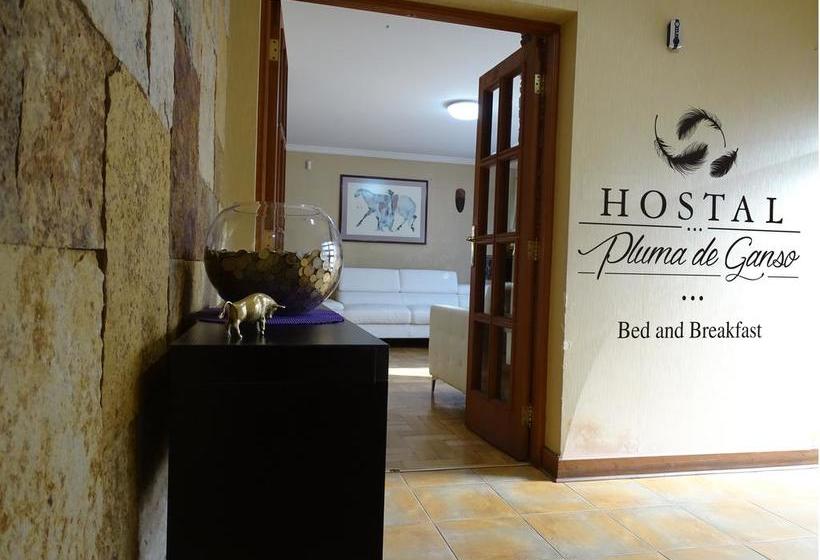 Bed and Breakfast Hostal Pluma De Ganso | Temuco | Araucanía | Chile 16