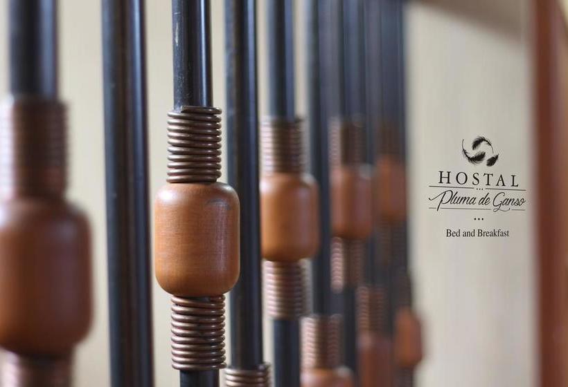 Bed and Breakfast Hostal Pluma De Ganso | Temuco | Araucanía | Chile 17